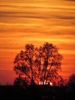Zonsondergang op het platteland