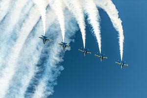 Fünf der sechs F/A-18C-Flugzeuge der Blue Angels machen gemeinsam einen Looping!