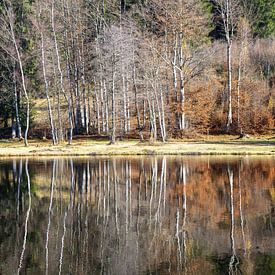 Transient colours at the Oberstdorf moor pond by Walter G. Allgöwer