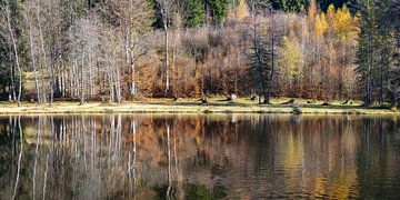 Transient colours at the Oberstdorf moor pond by Walter G. Allgöwer