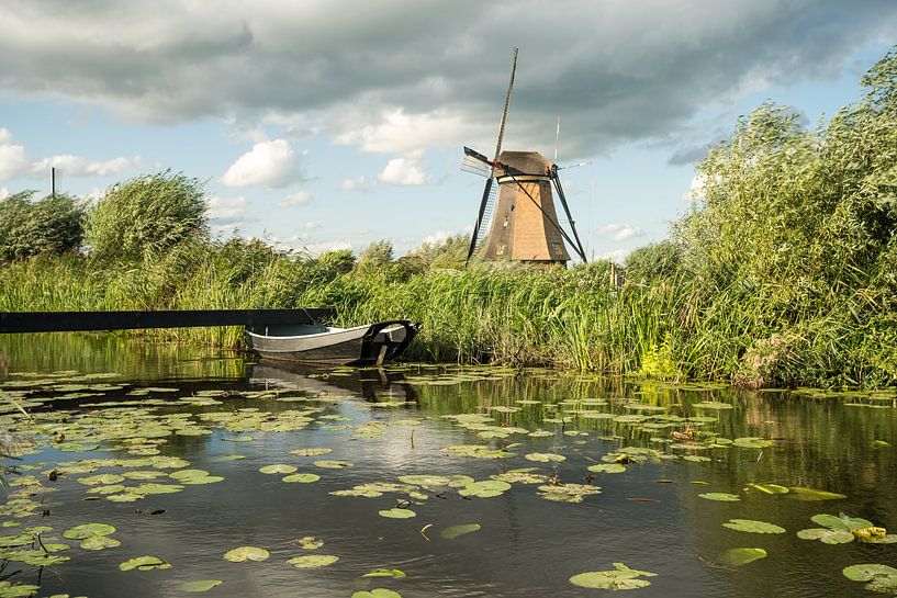 windmolens in Kinderdijk by Marcel Derweduwen