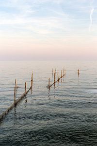 Sonnenuntergang auf dem IJsselmeer