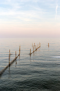 Coucher de soleil sur l'IJsselmeer