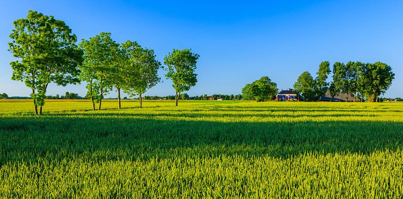 Thesinge, Provincie Groningen, Nederland van Henk Meijer Photography