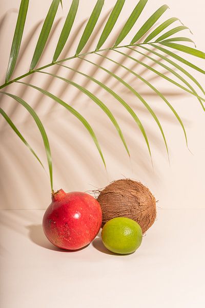 In Tropical Spheres VIII by Abri&Koos