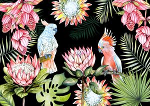 Perroquets fleurs tropicales