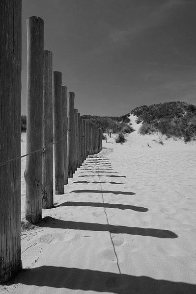 Schatten von Peter Bartelings