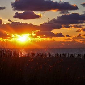 Zonsondergang van Denise de Rijk