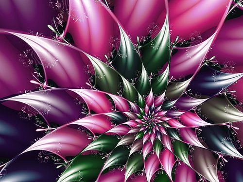 fractal bloem ster magenta