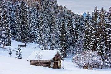 Paysage hivernal dans le sud de l'Allemagne