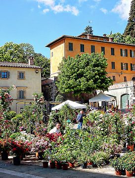 Architecture and Flower Festival Cetona by Dorothy Berry-Lound