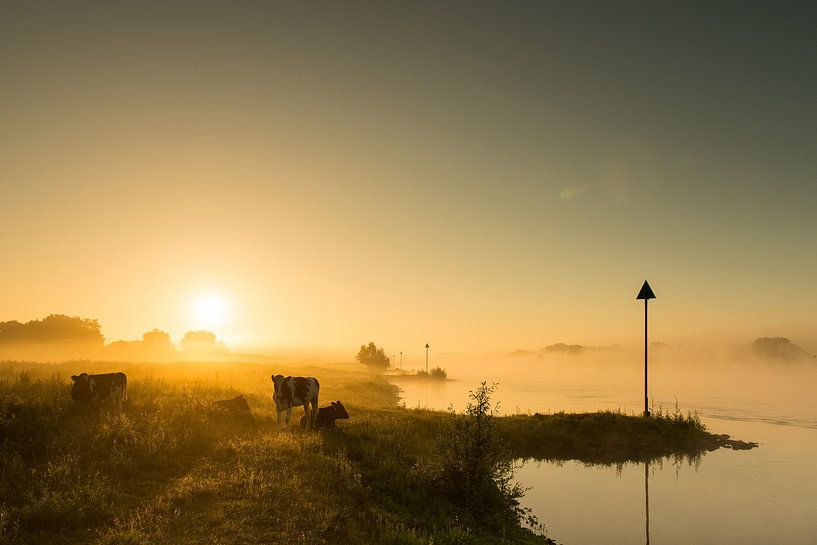 Morgenlicht auf dem Fluss IJssel - 2 von Damien Franscoise