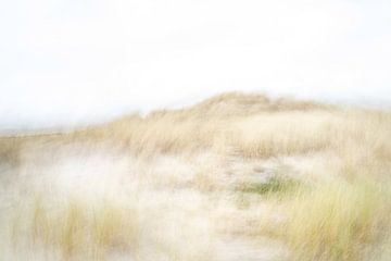 De duinen op Ameland in ICM - 2 van Danny Budts