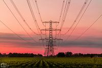 electricity
