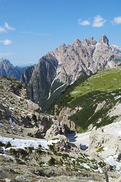 Les Alpes - sauvages, calmes, puissantes et délicates à la fois ️✨ Chaque facette raconte une histoire de nature, de lumière et de vie. sur Miriam Schwarzfischer Fotografie