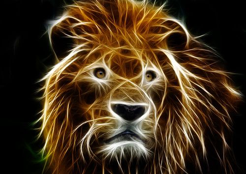 Lion in 3D stripes and lines by Bert Hooijer