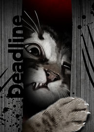 De Deadline-kat van John Dan