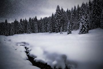 Bavarian Winter's Tale VII by Melanie Viola