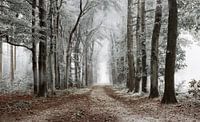 Winter in Lochem.