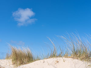 Strand von East Vlieland,