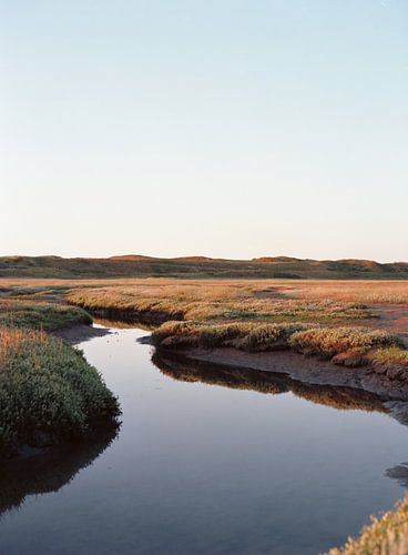 Texel awakens van Laura Knipsael