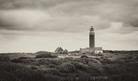 Vuurtoren Texel van Willem  Bentink thumbnail