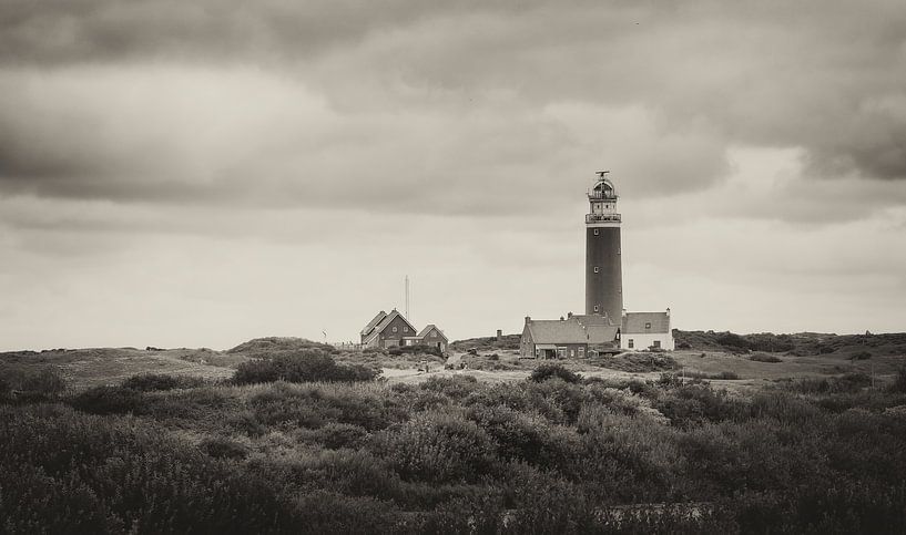 Vuurtoren Texel van Willem  Bentink