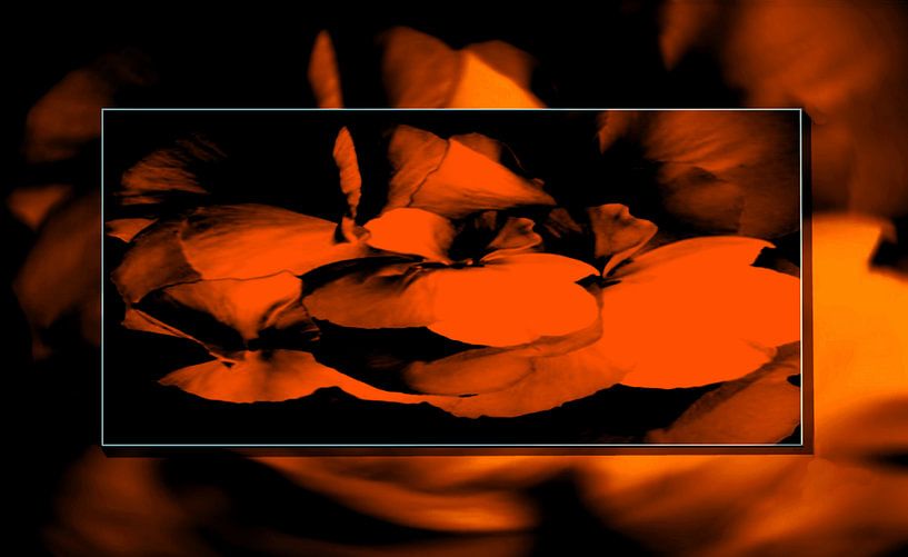 Floral beauty by Gertrud Scheffler