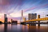 Erasmus Bridge Rotterdam Sunrise Gold