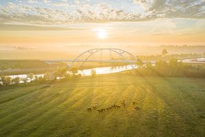 Walfridus-Brücke bei Sonnenaufgang