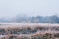 Dromerig winter landschap dicht bij Ommen