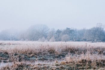 Verträumte Winterlandschaft in der Nähe von Ommen