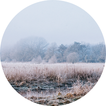 Dromerig winter landschap dicht bij Ommen van Holly Klein Oonk