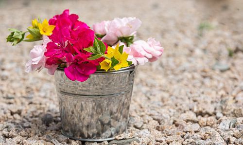 a single bucket full of flowers in nature in the spring