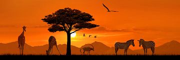 Romantische Africa in Panorama van Monika Jüngling