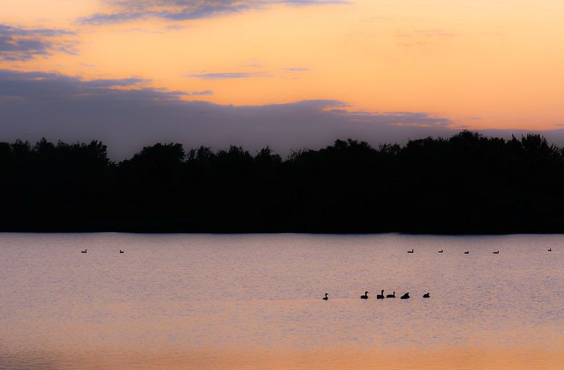 lake in the blue hour by Tania Perneel