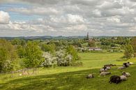 Panorama van Vijlen in Zuid-Limburg van John Kreukniet thumbnail