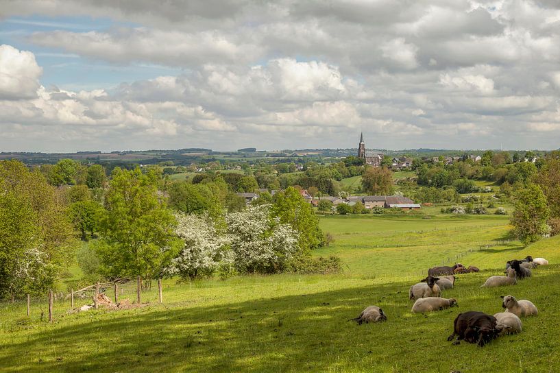 Panorama van Vijlen in Zuid-Limburg par John Kreukniet