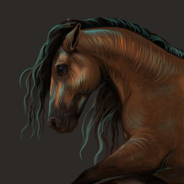 Lipizzan coloré par Linda van Kleef