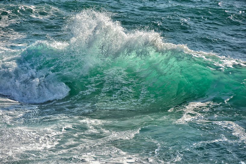 the wave by Joachim G. Pinkawa
