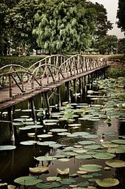 Naturlandschaft und rustikale Brücke in Hué von Frank Photos