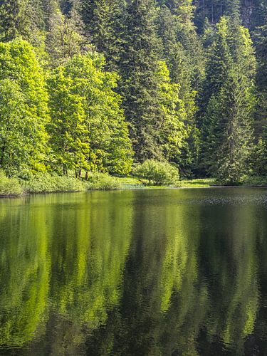 Bergmeer in de Vogezen, Frankrijk
