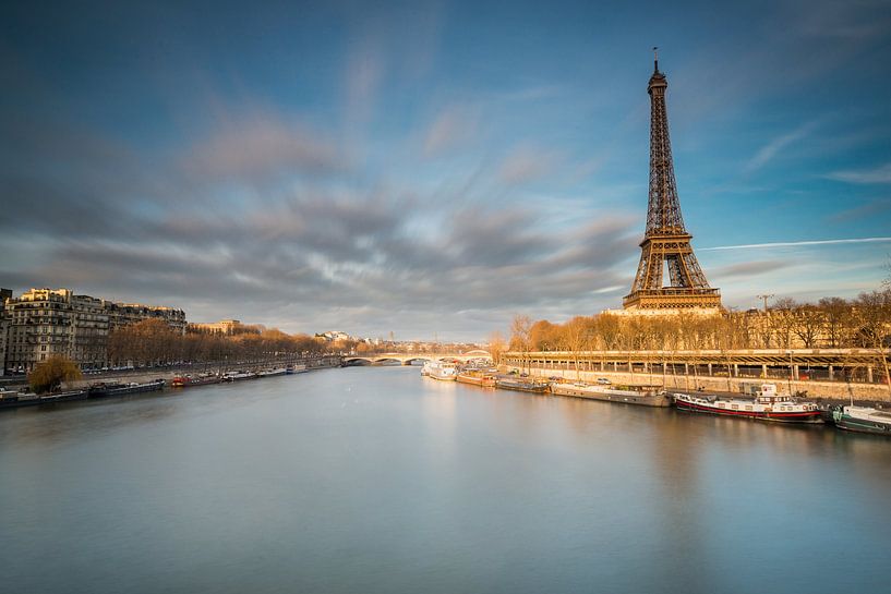 Eiffel Tower in Paris by Damien Franscoise