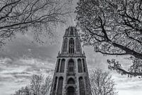 Utrecht by Day - Dom Tower - 2