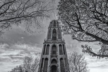 Utrecht by Day - Dom Tower - 2 by Tux Photography
