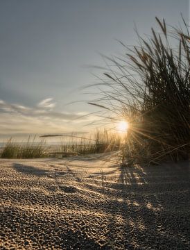 Lever de soleil dans les dunes sur bart dirksen