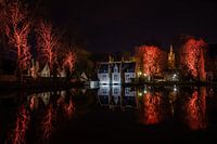 Red Lake of Love