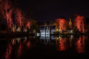 Red Lake of Love van Stefan Bauwens Photography