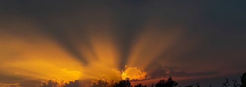 Soleil du soir en Zélande