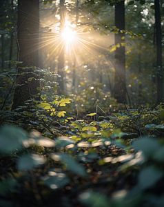 Herbstwald